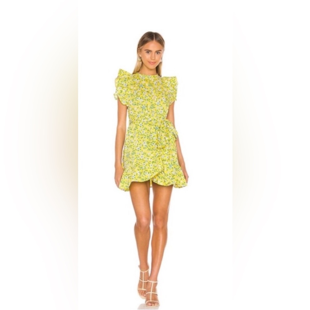 Banjanan Audrey Mini Dress - Picture 2 of 8